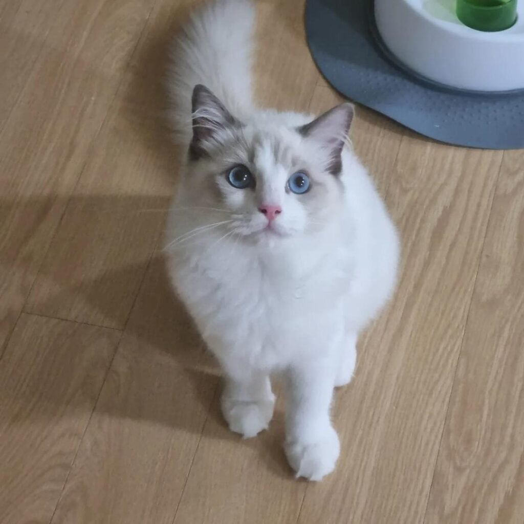 jenny